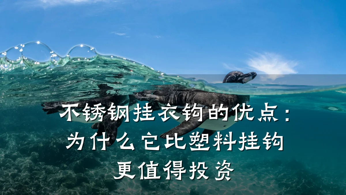 不锈钢挂衣钩的优点：为什么它比塑料挂钩更值得投资