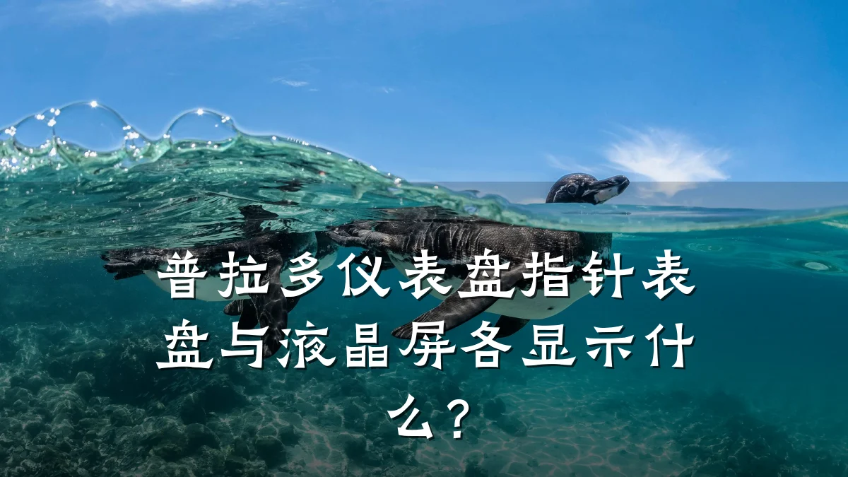 普拉多仪表盘指针表盘与液晶屏各显示什么?