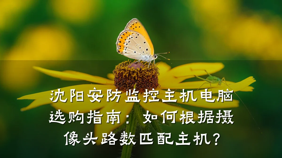 沈阳安防监控主机电脑选购指南：如何根据摄像头路数匹配主机？