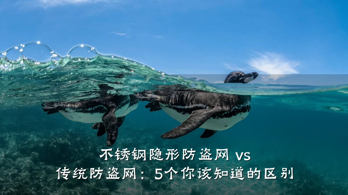 不锈钢隐形防盗网 vs 传统防盗网:5个你该知道的区别