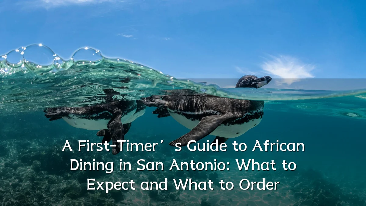 A First-Timer’s Guide to African Dining in San Antonio: What to Expect and What to Order