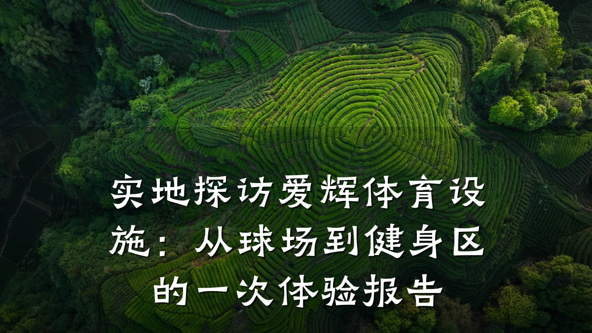 实地探访爱辉体育设施:从球场到健身区的一次体验报告